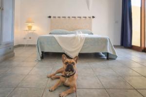 Tranquile Palau Green Village Studio 2 Person Plus Possible Extra Child Bed, Палау