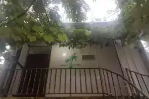 Green Palma, Кутаиси