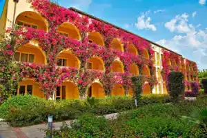 Отель «Tui Magic Life Calabria», Пиццо