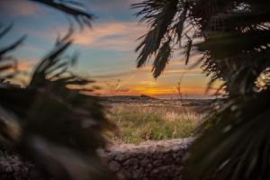 Fieldend B&B, Арб