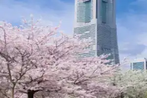 The Kahala Hotel & Resort Yokohama, Иокогама