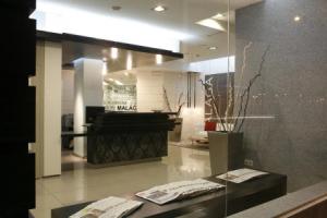 Hotel «Guadalmedina», Малага