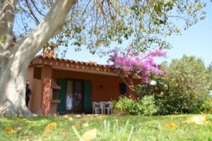 Nuova Valmar "Villa Vivienne" Condominio Rei Plaia, Monte Nai