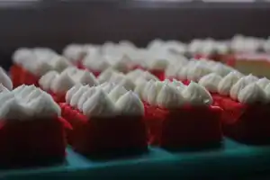 Отель «Nana Yala Chhen», Патан