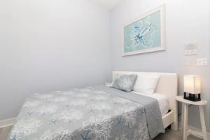 Dolphin Resort, Тампа