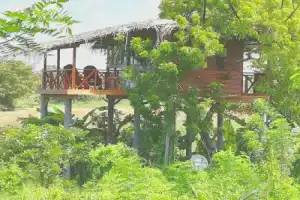 Вилла «The Hideout Sigiriya», Сигирия