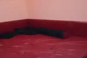 Hostel Fligel, Красноярск