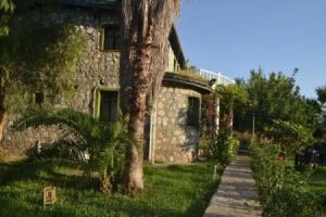 Otantik Tas Ev, Саригерме