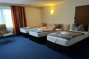 Hotel Regina - DG drei D.G. GmbH, Зигбург