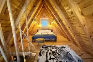 Tiger House 2 Oda, Сапанджа
