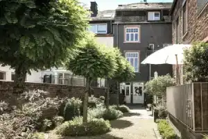 the backyard, Трир