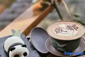 S. Designer Hotel (Chengdu Renmin South Road US Consulate), Чэнду