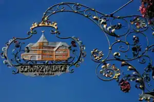 Hotel «Schwarzwaldhof», Хинтерцартен