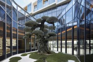 Отель «JW Marriott Shanghai Fengxian», Шанхай