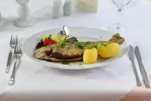 GreenLine Ferienhotel Forelle, Тале