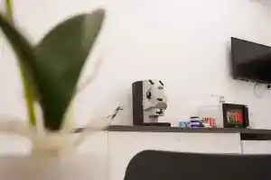 B&B Vesuvius Central, Геркуланум