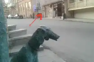 Хостел «София», Сигнахи