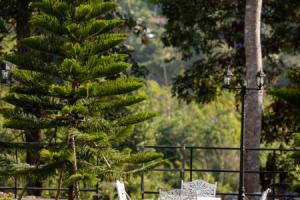 พาราไดซ์รีสอร์ต สังขละบุรี Paradise Resort at Sangkhlaburi, Сангхла-Бури
