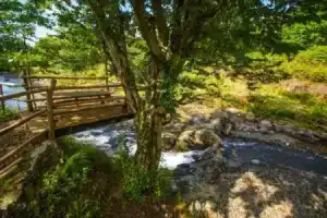 Отель «Oasis Gasamania», Батуми