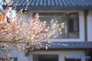 Lijiang Zifayu Designer Boutique Inn, Лицзян