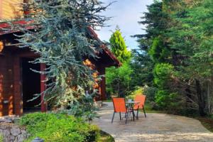 Luxury Wooden Villa with Pool, The Nest, Дассия