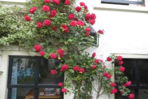 Apple Tree Cottage - discover this charming canal home in our idyllic garden, Гоуда