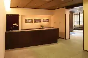 Ochanomizu Hotel Shoryukan, Токио