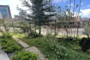 Отель «Near Suites», Стамбул