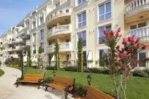 Bellicity Apart Complex, Равда