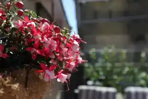 !!!UNIEK!!! Rijksmonument centrum Harlingen, Харлинген