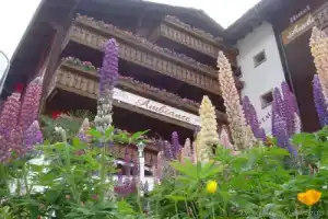 Hotel «Ambiance Superior», Церматт
