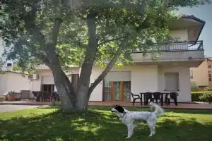 Casa del Carmine, Ангьяри