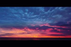 Heated Salt Water Pool Bungalow Mins From Beach in Deerfield Beach, Бока-Ратон