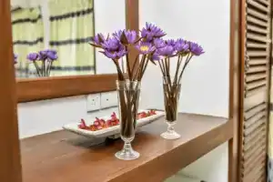 Madunandani Resort & Ayurveda Spa, Mirissa South