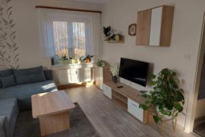 Ferienwohnung Lehmann, Пирна