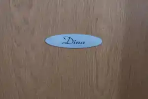 Studio Dina, Бечичи