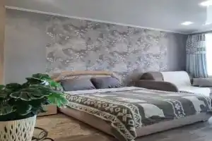 Апартаменты на улице Советская 92, Спасск-Дальний