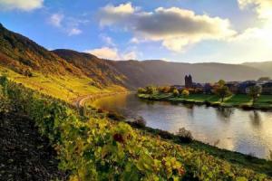 Ferienweingut Gansen / Hochgenuss 1, Эрнст