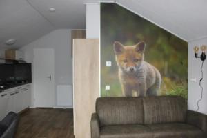 De Bijsselse Enk, Noors chalet 7, Нунспеет