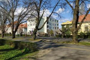 Nelli Apartman, Кестхей