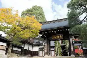 TAKAYAMA STAY SAKAKI Building B, Такаяма