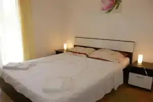 Pintar Uskocka - Inh 31115, Башка