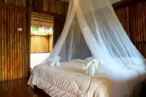 База отдыха «Khao Sok Jungle», Кхао Сок