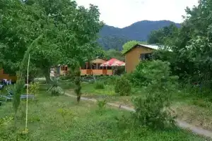 Bio Yard, Лагодехи