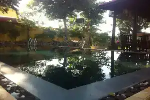 Tea Garden Homestay, Хой Ан