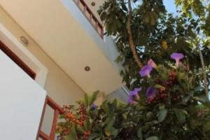 Апартаменты «Alexandra», Сталида