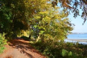 Apartment Close To the Beach (Adults Only), Фленсбург
