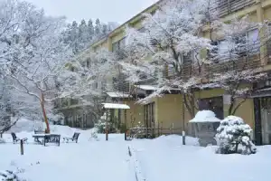 Отель «Nikko Hoshino Yado», Никко