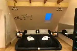CATS Dreams, Боттроп