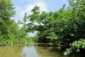 Отель «Geo Palace Kolkheti National Park», Поти
